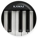 Teclados/Pianos Kawai