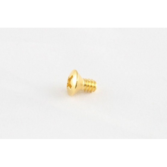 ALL PARTS GS3263002 SWITCH MOUNTING SCREWS (8 PIECES) GOLD PHILLIPS