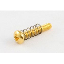 ALL PARTS GS0004002 GUITAR BRIDGE LENGTH SCREWS (6 PIECES) WITH SPRINGS GOLD 4 - 40 X 5/8