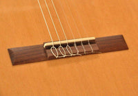 Camps M1C Guitarra Española 4