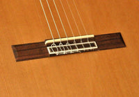 Camps MC6 Cutaway Guitarra Española 4