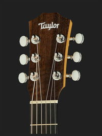 Taylor Baby Walnut Guitarra Acústica 8