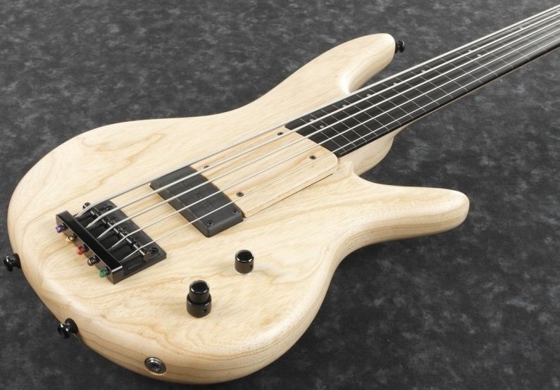 Ibanez GWB1005 NTF Gary Willis Bajo Eléctrico Fretless 5 Cuerdas Natural Flat 5