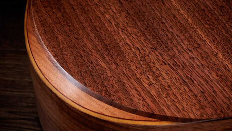 Taylor Academy 22E 5 String Jacob Collier Guitarra Electroacústica 5 Cuerdas Gran Concierto 3