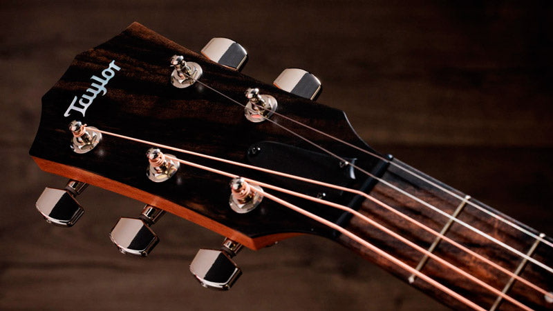 Taylor Academy 22E 5 String Jacob Collier Guitarra Electroacústica 5 Cuerdas Gran Concierto 6