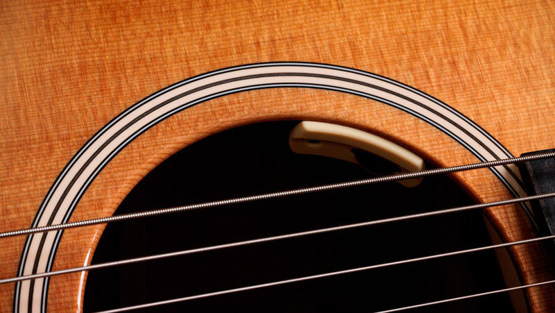 Taylor Gold Label 510E Trey Hensley Signature Guitarra Electroacústica Dreadnought 3