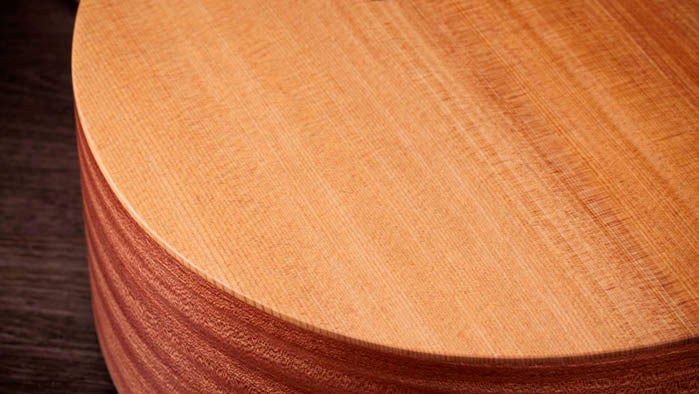 Taylor 14ce Guitarra Electroacústica Grand Auditorium 3