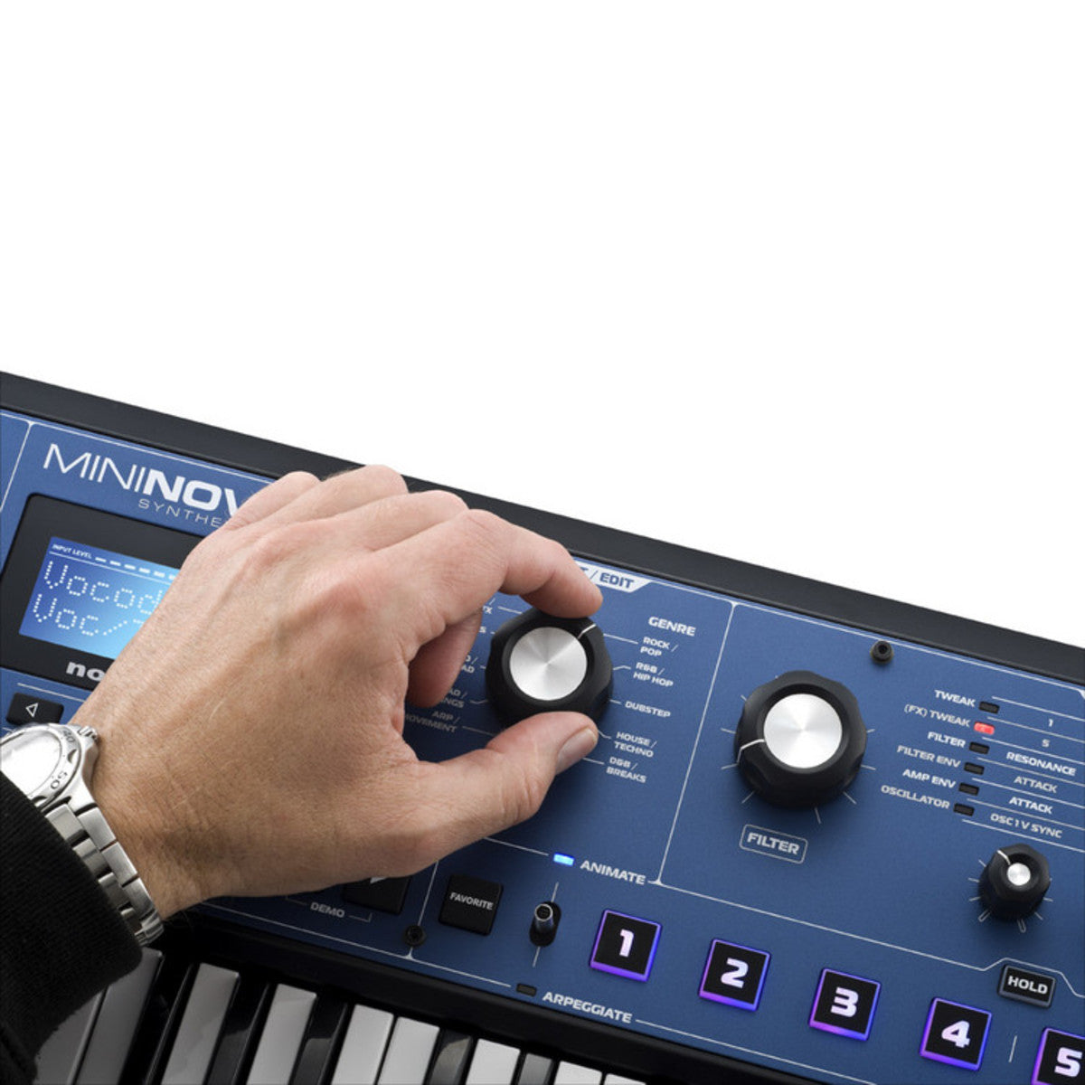 Novation Mininova Sintetizador Portátil 9