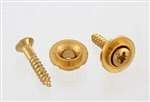 All Parts AP0730002 Round String Guides (2) with Screws for Guitar Gold 1