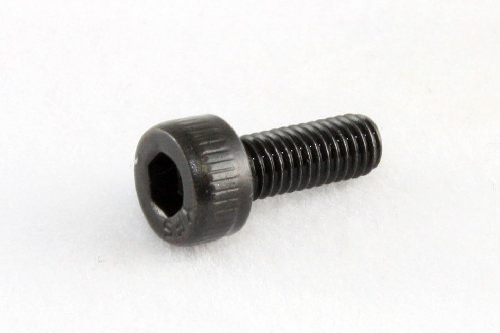 All Parts GS0083003 Intonation Hex Screws for Floyd Rose Tremolo Black M3 X 8mm 1