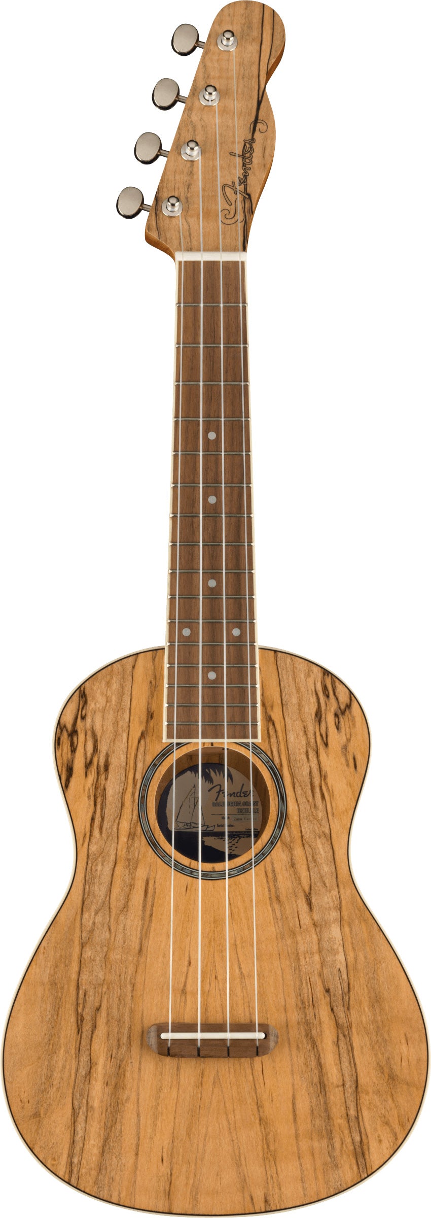 Fender Zuma Exotic Ukelele Concierto Spalted Maple 1