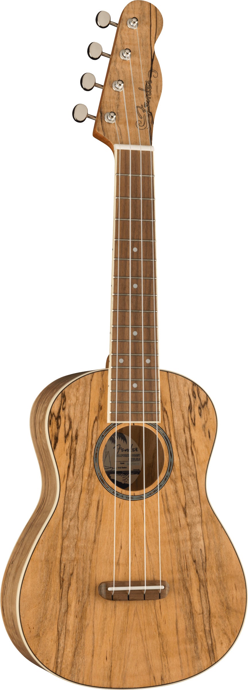 Fender Zuma Exotic Ukelele Concierto Spalted Maple 2