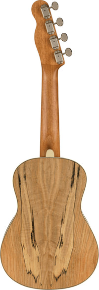 Fender Zuma Exotic Ukelele Concierto Spalted Maple 3