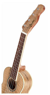 Fender Zuma Exotic Ukelele Concierto Spalted Maple 13