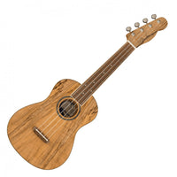 Fender Zuma Exotic Ukelele Concierto Spalted Maple 15