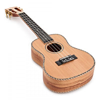 Tanglewood TWT11 Ukelele Concierto 4