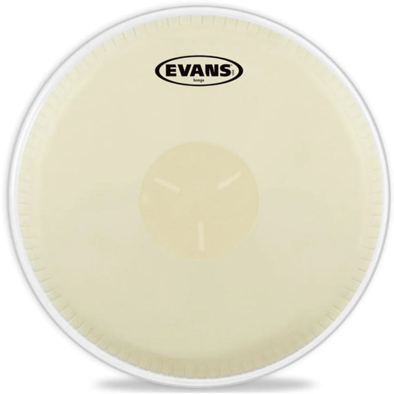 Evans EB07 Parche Bongo 7 1