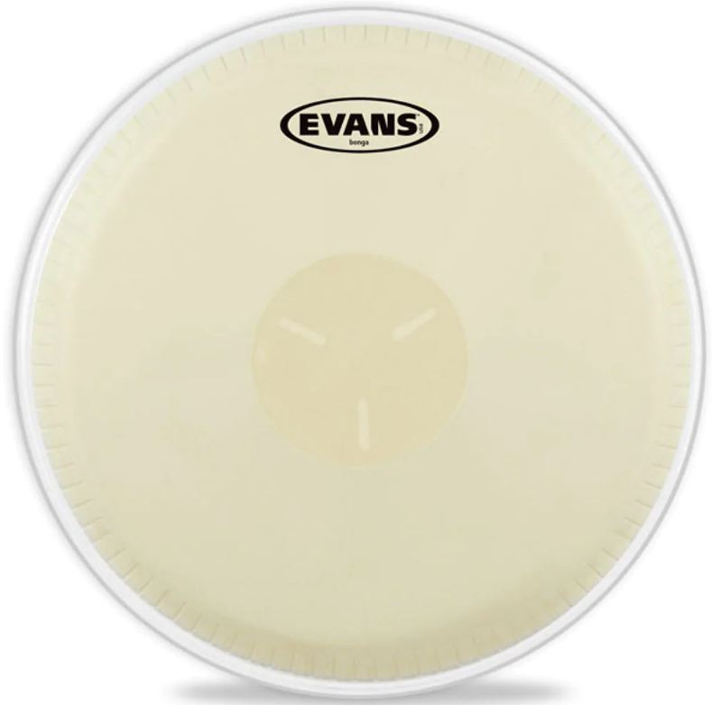 Evans EB09 Parche Bongo 9 1