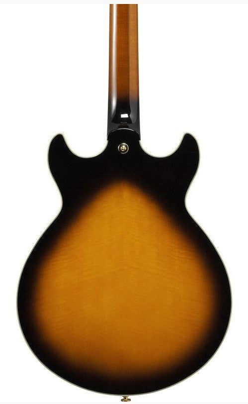 Ibanez AM2000H BS Prestige Guitarra Eléctrica Brown Sunburst 5