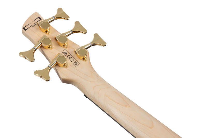 Ibanez GSR205PC TMU Bajo Eléctrico 5 Cuerdas Transparente Marine Burst 9