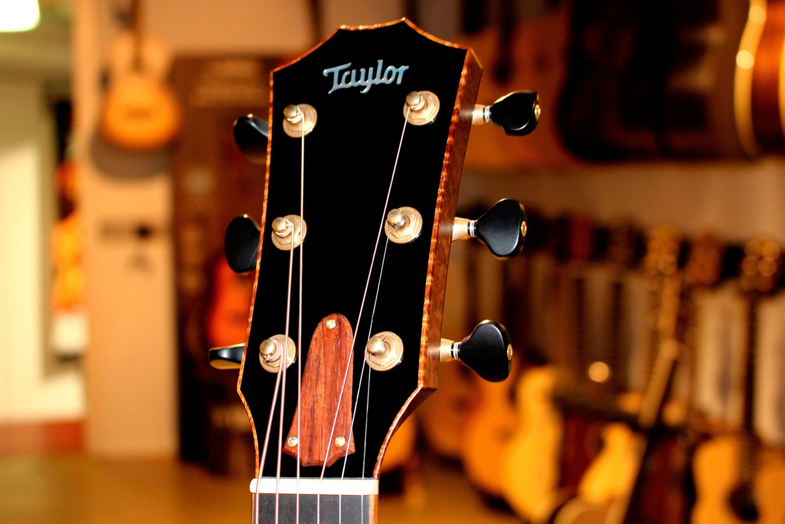 Taylor BTO Custom 9604 Guitarra Electroacústica Gran Auditorio Boutique 4