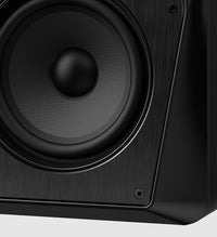 Pioneer DJ VM50 Monitor Activo Negro. Unidad 6