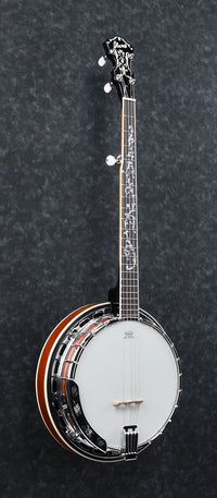 Ibanez B200 Banjo 3