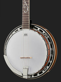 Ibanez B200 Banjo 11