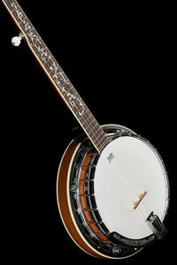 Ibanez B200 Banjo 19