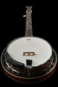 Ibanez B200 Banjo 24