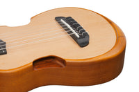 Ibanez AUP10N OPN Ukelele Tenor 12