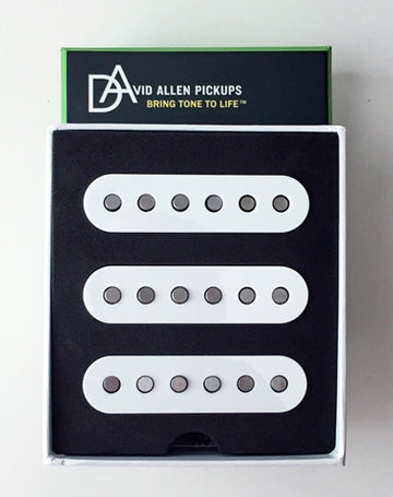 David Allen Texas Flood Parchment Set Pastillas Stratocaster 1