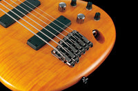 Ibanez GVB1006 AM Gerald Vasley Bajo Eléctrico Ambar 3