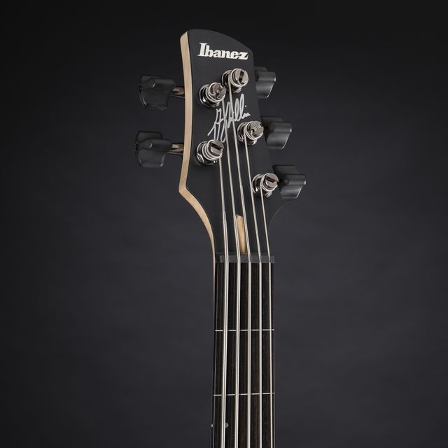 Ibanez GWB205 TQF Fretless Gary Willis Bajo Eléctrico 5 Cuerdas Tequila Sunrise 8