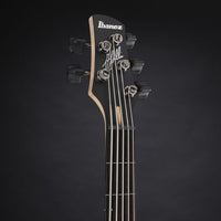 Ibanez GWB205 TQF Fretless Gary Willis Bajo Eléctrico 5 Cuerdas Tequila Sunrise 8