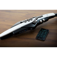 Roland AE20 Aerophone Instrumento Viento Digital 24