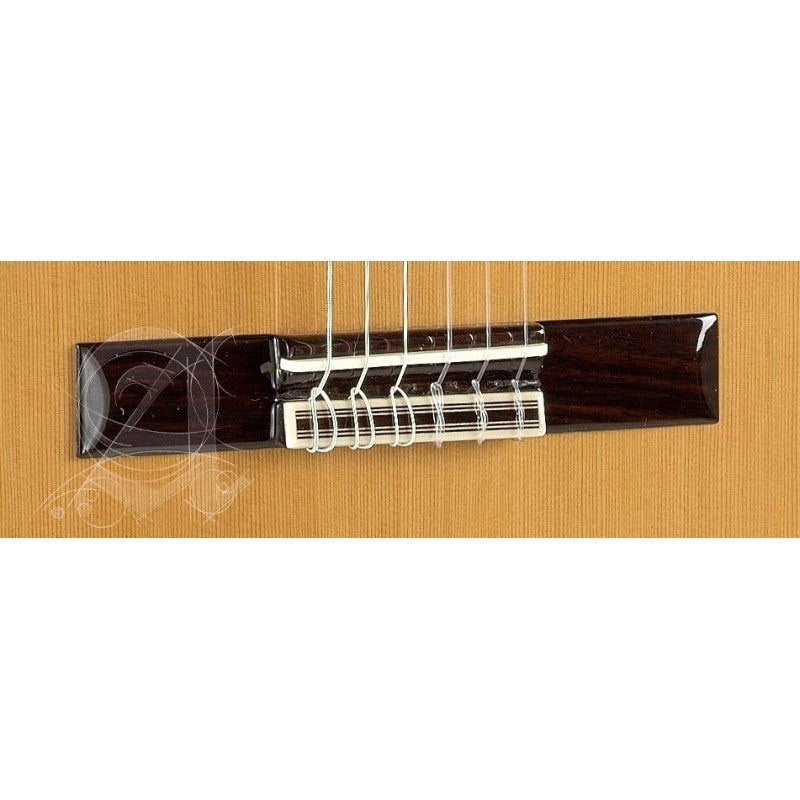 Alhambra 5PCTE2 con Funda 25mm Guitarra Española Electrificada Cuerpo Estrecho Cedro Brillo 6