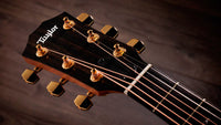 Taylor Sunset Boulevard 214ce DLX SEB Guitarra Electroacústica Gran Audiotorio Sunset Edgeburst 5