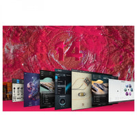 Native Instruments Komplete 14 Standard Dl Pack Software Descarga 2