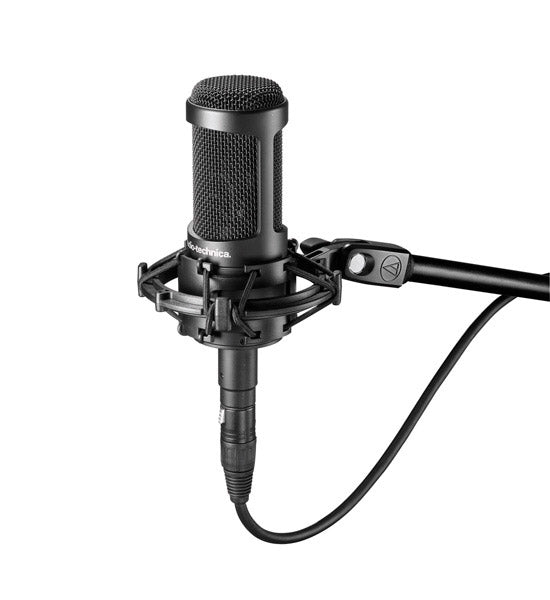 Audio Technica AT2050 Micrófono de Condensador Multipatrón 1
