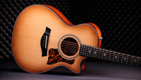 Taylor 312CE 50Th Anniversary Guitarra Electroacústica Gran Concierto 3