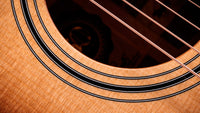 Taylor 312CE 50Th Anniversary Guitarra Electroacústica Gran Concierto 5