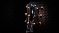 Taylor 312CE 50Th Anniversary Guitarra Electroacústica Gran Concierto 8