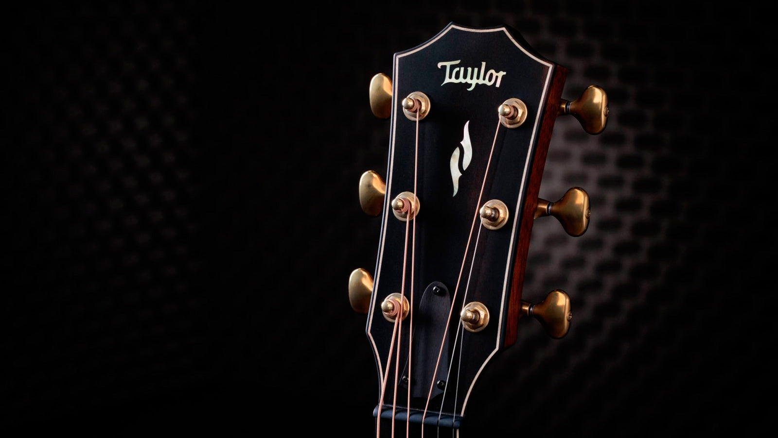 Taylor Builders Edition 812ce LTD 50th Anniversary Guitarra Electroacústica Gran Concierto 10