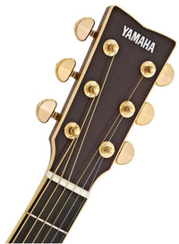 Yamaha LJ16 ARE NT Guitarra Electroacústica Natural 5