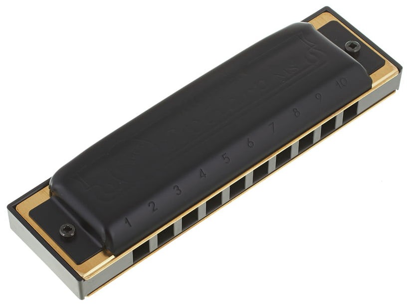 Hohner 562/20 E Pro Harp Armónica Blues Nota Mi 20 Voces 1