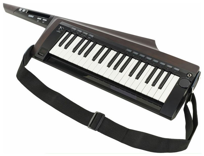 Korg RK100S 2 BK Teclado Keytar Translucent Black 11