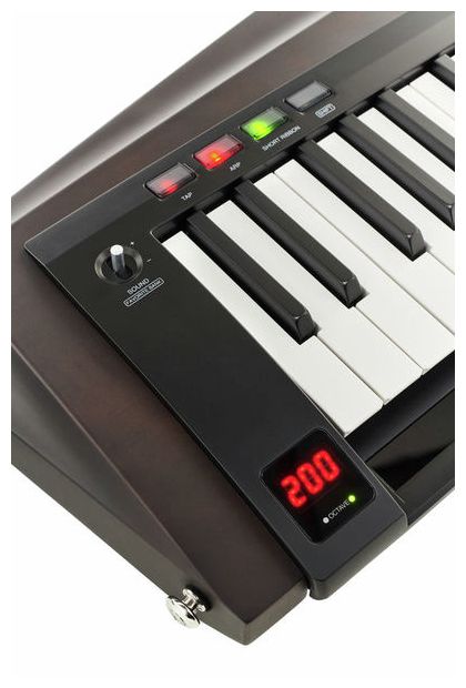 Korg RK100S 2 BK Teclado Keytar Translucent Black 13