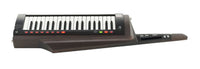 Korg RK100S 2 BK Teclado Keytar Translucent Black 22