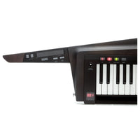 Korg RK100S 2 BK Teclado Keytar Translucent Black 25